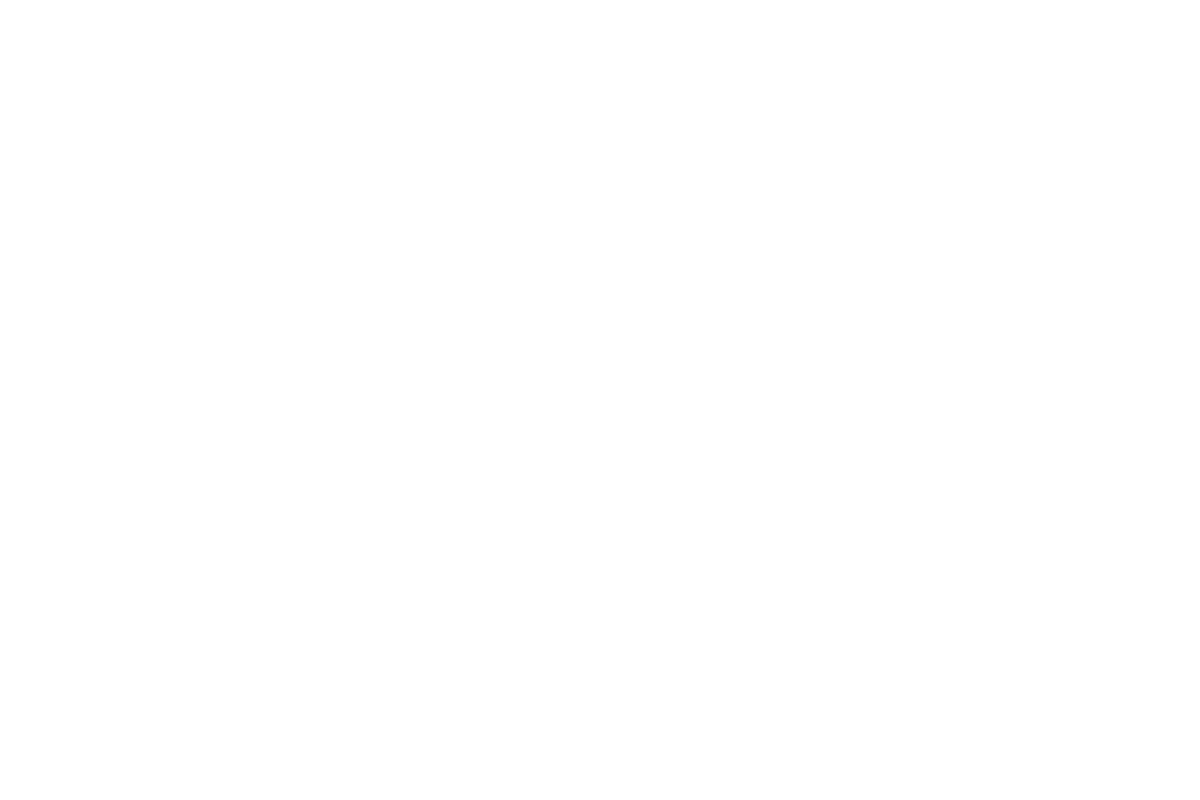 Zia Moon - San Francisco Companion